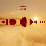 Aerial Aerial
