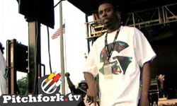 GZA / Junior Boys / New Pornographers / Fleet Foxes / Roots Manuva