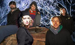 "Little Bird (Animal Collective Remix)" [Stream]