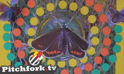 "Singing To The Earth (To Thank Her For You)" [Video Premiere]