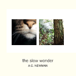 The Slow Wonder The Slow Wonder