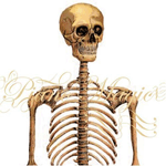 Opencast Heart EP Opencast Heart EP