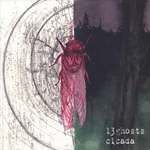 Cicada Cicada