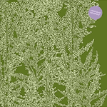 Alcachofa Alcachofa