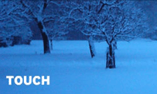 Fennesz, Biosphere, Jóhannsson on Touch Comp