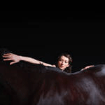 Bring Me the Workhorse Bring Me the Workhorse