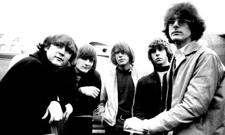 Byrds Box Takes Flight
