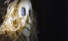 Video: Califone: "Spider's House"