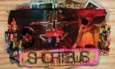 Yo La Tengo, Animal Collective on Shortbus Soundtrack