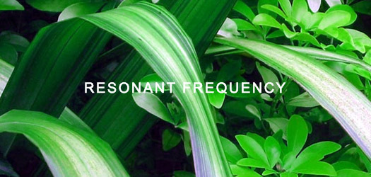 Resonant Frequency #43