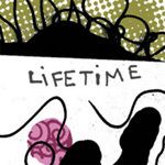 Lifetime
