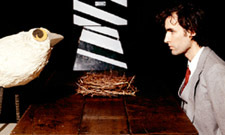 Andrew Bird Announces Environmentally-Friendly Tour