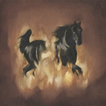 Are the Dark Horse