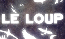 Exclusive: Sub Pop's Hardly Art Signs Le Loup