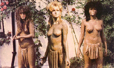 Slits Set for U.S. Summer Tour