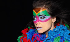 Bjork Comes Back to North America This Fall