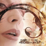 Necessary Evil Necessary Evil