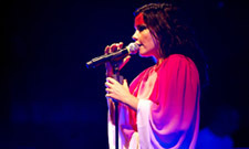 Bjork Adds More 2008 Dates, Plots New Single