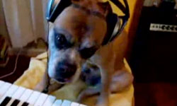 "Push It" (Salt-N-Pepa cover) [Video/MP3]