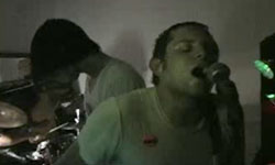 "Triceratops" (Live in Brooklyn)
