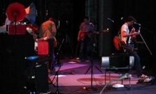 Andrew Bird Guests on Dianogah Album
