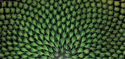 Through the Cracks #3