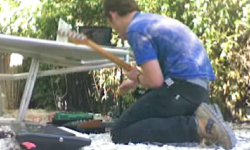 "Triceratops" (Live)