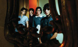 "Black Cat" [MP3/Stream]
