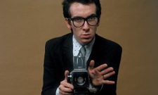 Elvis Costello to Host TV Show, Put Momofuku on CD