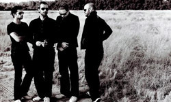 "Violet Hill" [MP3]