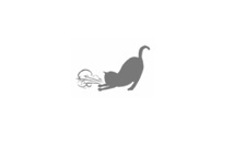 The Tale of Asthmatic Kitty and Its Seven New Signings