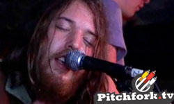 Fleet Foxes, Santogold, Neon Neon, Six Organs of Admittance