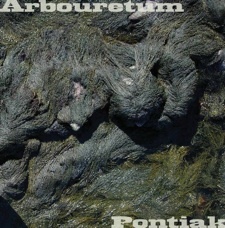 Arbouretum, Pontiak Cover John Cale on Split 12"
