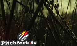 "Irene" [Video]