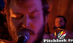 Bon Iver Live in Brooklyn / Animal Collective
