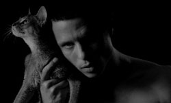 "Hanna" [MP3/Stream]