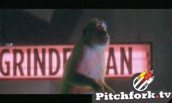 Grinderman / The Fiery Furnaces / The Postal Service
